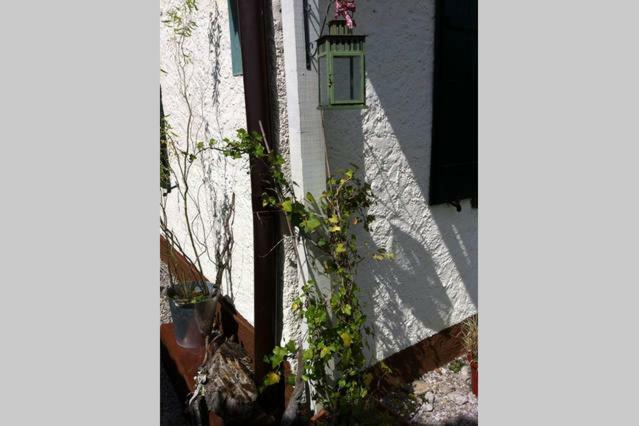 Appartamento Haus Tulpe Strobl Esterno foto